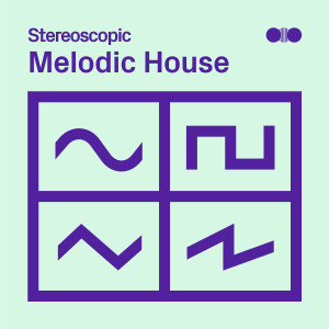 Vermair的专辑Melodic House