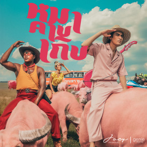 ดาวน์โหลดและฟังเพลง หมาคาบเกิบ พร้อมเนื้อเพลงจาก JOEY PHUWASIT