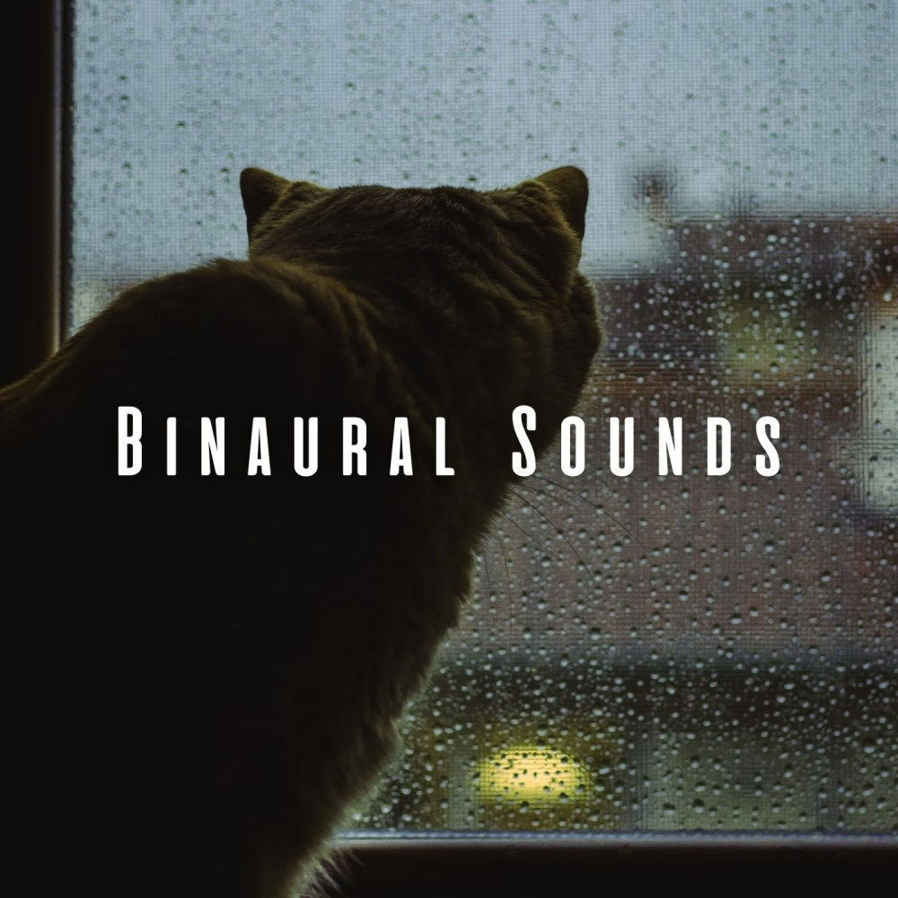 Soothing Rainfall Pawstep