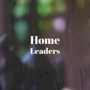 Various的专辑Home Leaders