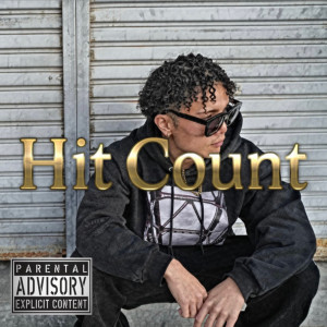 Album Hit Count from MERRYSTARK