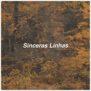 ดาวน์โหลดและฟังเพลง Sinceras Linhas พร้อมเนื้อเพลงจาก João Fernando
