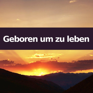 收聽So wie du warst的Geboren um zu leben (Klavierversion)歌詞歌曲