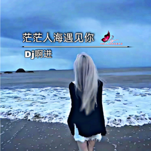 Listen to 茫茫人海遇见你 (完整版) song with lyrics from DJ啊进