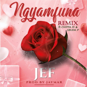 JEF RSA的專輯Ngiyamfuna Remix (Explicit)