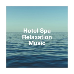 Relaxation Reading Music的專輯Hotel Spa Relaxation Music