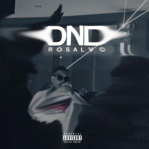 Album DND (Explicit) oleh Rosalvo