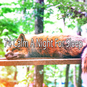 ดาวน์โหลดและฟังเพลง Rested Wonder พร้อมเนื้อเพลงจาก Relaxing Music Therapy