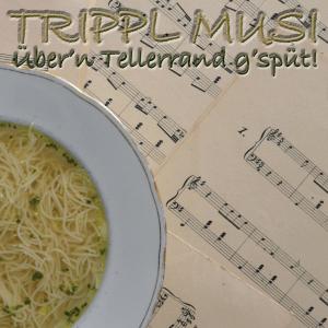 Listen to Cetvorno Sopsko Horo song with lyrics from Trippl Musi