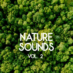 Dengarkan lagu Daybreak in the Rain Forest (Pt.1) (Loopable) nyanyian Nature Sounds Sleep Music Baby Sleep dengan lirik