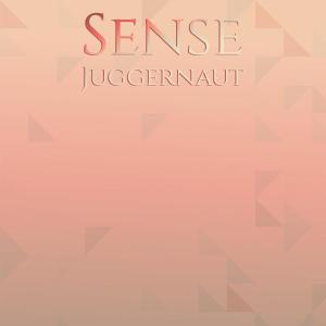 Various Artists的專輯Sense Juggernaut