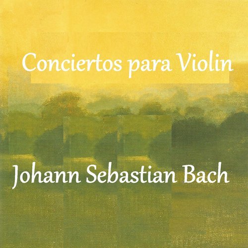 Violin Concerto in E Major, BWV 1042: I. Allegro