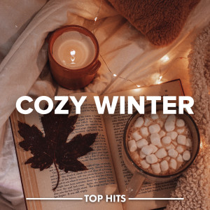 Various Artists的專輯Cozy Winter (Explicit)