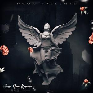 DoBall Music Group的專輯Now You Know (feat. Plat, Gunny H, Banga & Lanskyy) (Explicit)