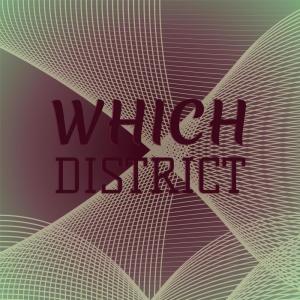 Dengarkan Twitchy Schemes lagu dari Josee Baad dengan lirik