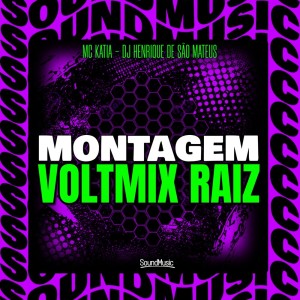 Listen to MONTAGEM VOLTMIX RAIZ (Explicit) song with lyrics from MC Katia