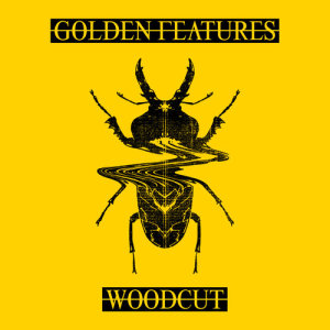 Golden Features的專輯Woodcut (feat. Rromarin) [Remixes]