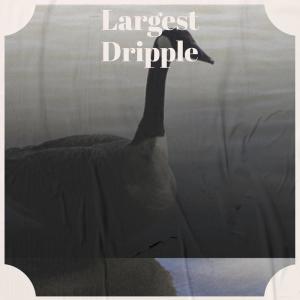 Various的专辑Largest Dripple