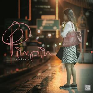 Album กลับดีๆนะ from Pinpin