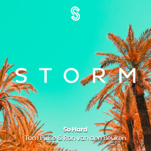 ดาวน์โหลดและฟังเพลง So Hard (Radio Edit) พร้อมเนื้อเพลงจาก Tom Pulse