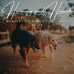 Dengarkan lagu Harmonic Connections with Puppies nyanyian Quiet Piano Jazz Relax dengan lirik