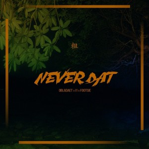 Album Never Dat from 