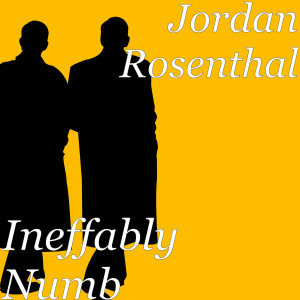 Jordan Rosenthal的专辑Ineffably Numb
