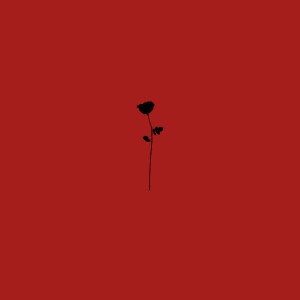 收聽Neave的Valentine歌詞歌曲