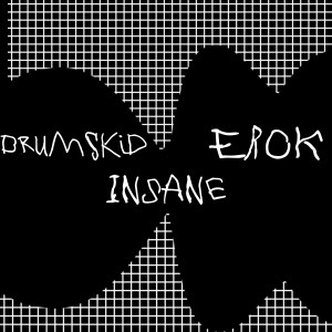Listen to Insane song with lyrics from eRok