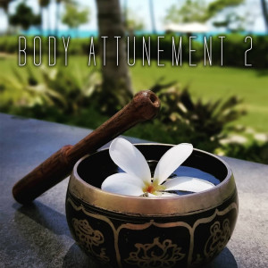 ดาวน์โหลดและฟังเพลง Calming Sleep Music (1 Hour of Cyrstal Singing Bowls) พร้อมเนื้อเพลงจาก Healing Vibrations