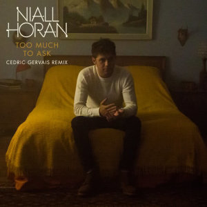 ดาวน์โหลดและฟังเพลง Too Much To Ask (Cedric Gervais Remix) พร้อมเนื้อเพลงจาก Niall Horan