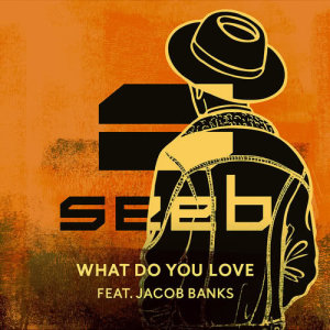 收聽Seeb的What Do You Love歌詞歌曲