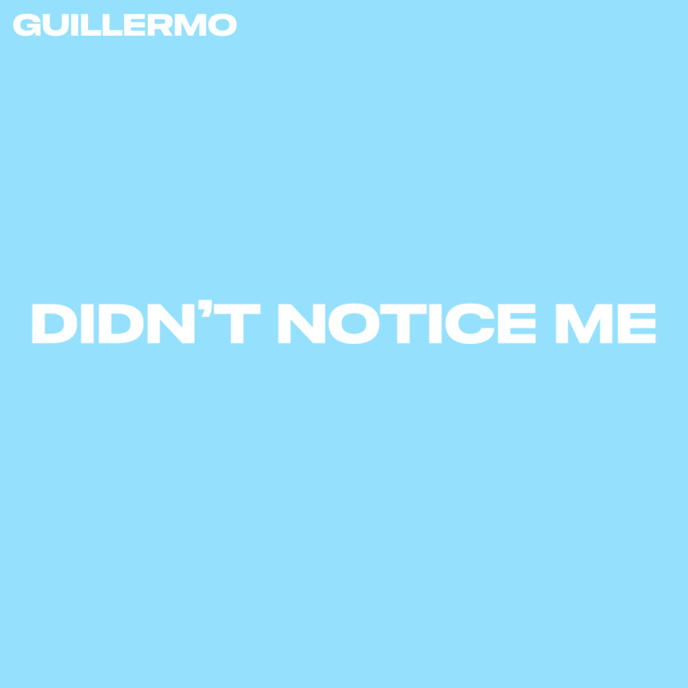 Didn't Notice Me