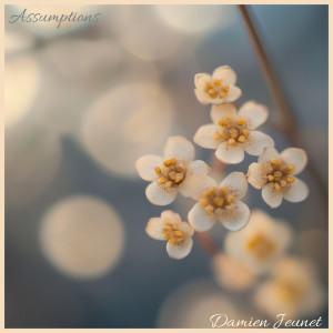 收聽Damien Jeunet的Assumptions歌詞歌曲
