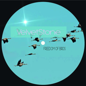 收聽VelvetStone的Freedom Of Birds歌詞歌曲