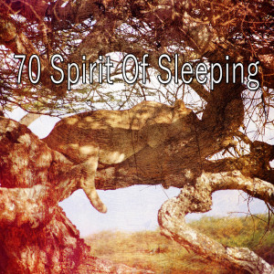 Listen to Loving Dream song with lyrics from SPA