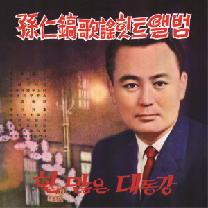 Album 가요 힛트앨범 from 손인호