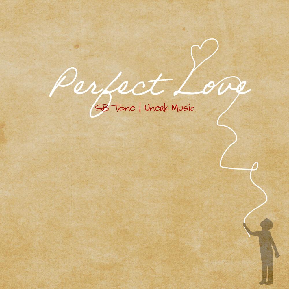 Perfect Love (feat. Sb Tone)