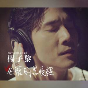 收听杨子黎的在谁的黑夜里歌词歌曲