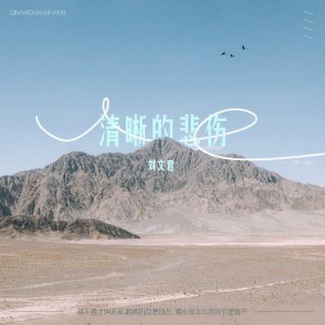Album 清晰的悲伤 from 