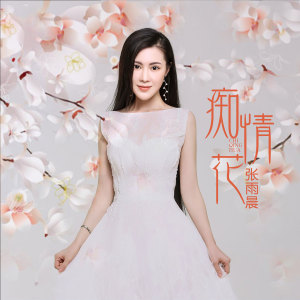 收聽張雨晨的癡情花 (完整版)歌詞歌曲