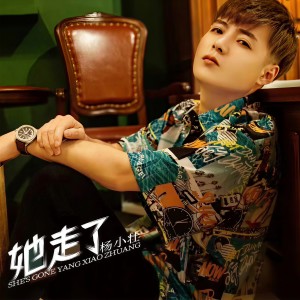 收聽楊小壯的她走了（DJ沈念版） (完整版)歌詞歌曲