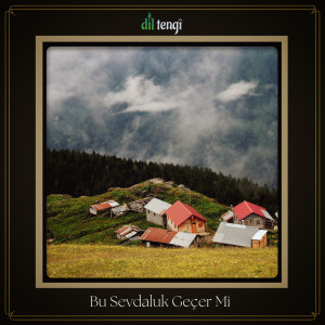 Listen to Bu Sevdaluk Geçer Mi song with lyrics from Dil Tengi