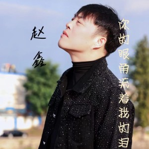 收聽趙鑫的你的眼角流着我的淚 (完整版)歌詞歌曲