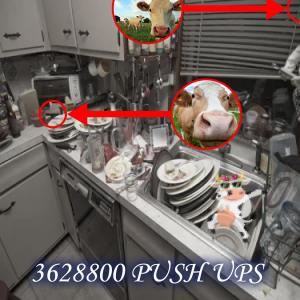 Listen to Buford! (feat. The Cup, Like this to instantly go into cardiac arrest and die, Colorado Springs Distribution Center, Obeast, Drowsy Driving Man and Woman & Airplane Cheesebox) song with lyrics from 100 push ups