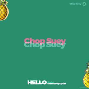 收聽Chop Suey的Abstract Funk (Radio Edit)歌詞歌曲