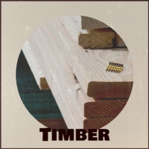 Dengarkan Timber lagu dari Bobby Darin dengan lirik