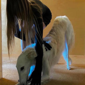 收聽Currency的NEEDLE (Explicit)歌詞歌曲