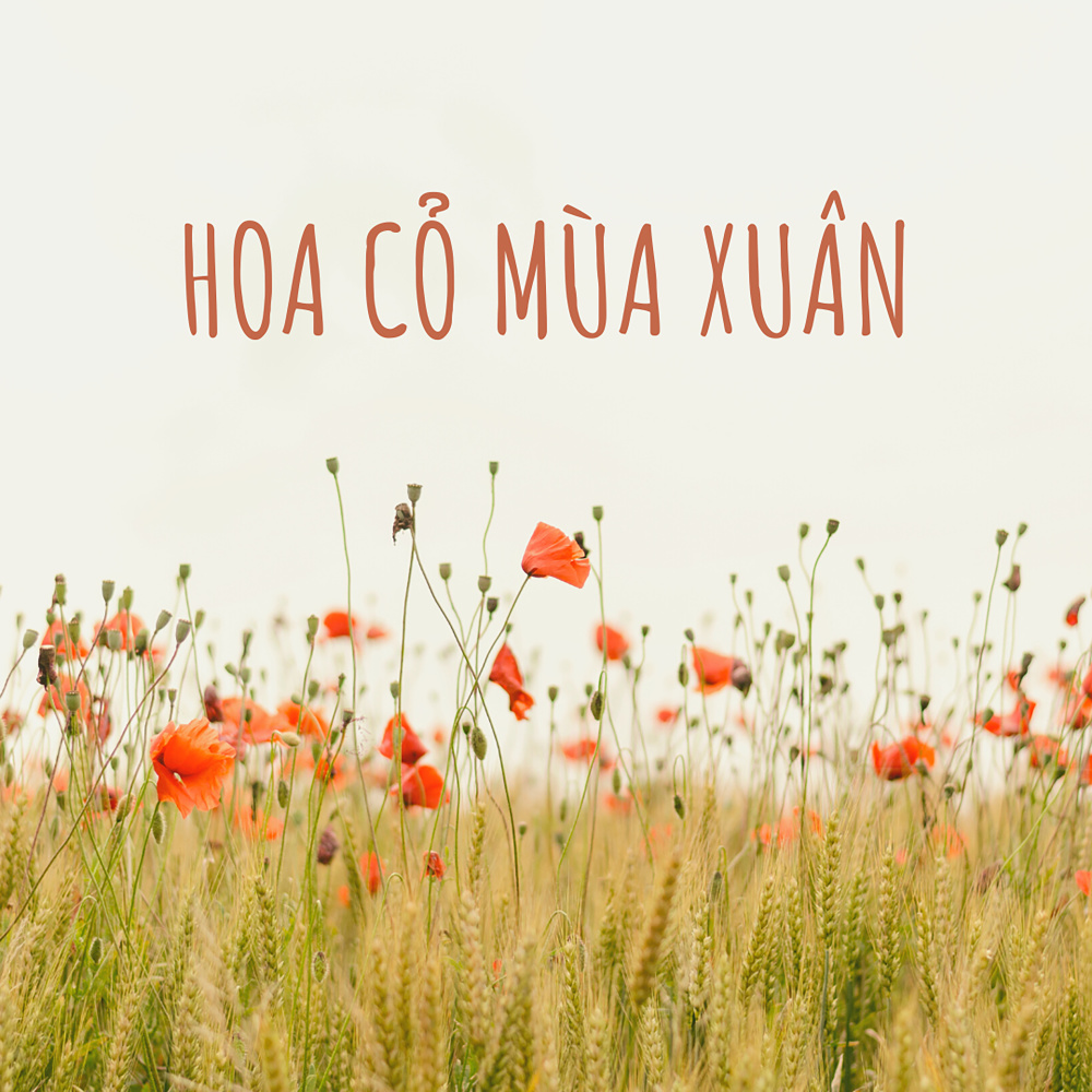 Rượu Cưới Ngày Xuân