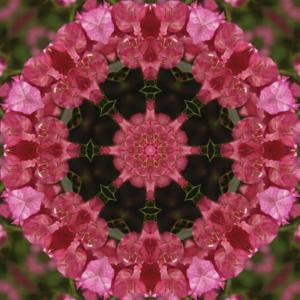 收聽Sonic Yogi的Tibetan Singing Bowls - C# Root Chakra Earth Tone - Relaxation and Meditation歌詞歌曲